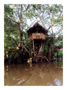 PEE HOUSE